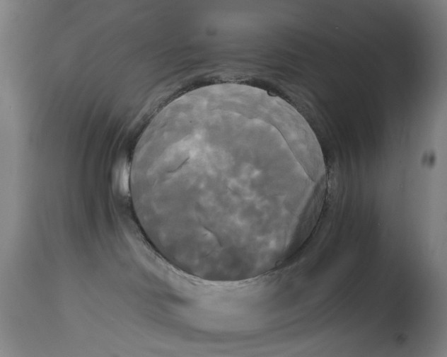 X0000114590046200911161341