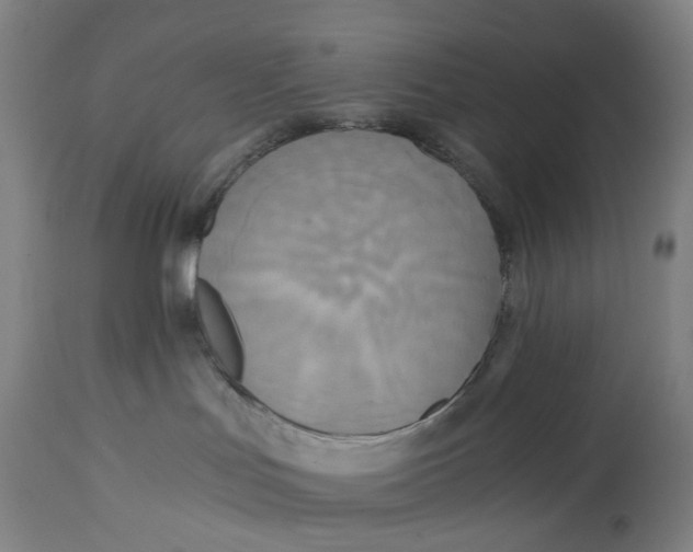 X0000114590047200911161341