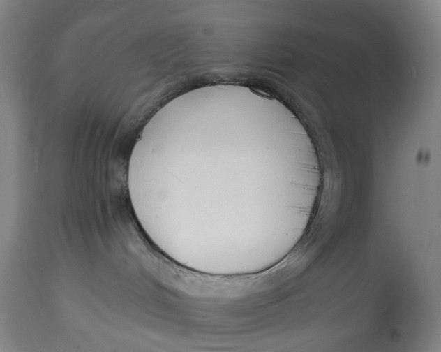 X0000114590048200911161341