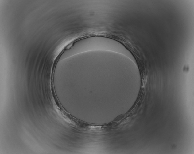 X0000114590052200911161340