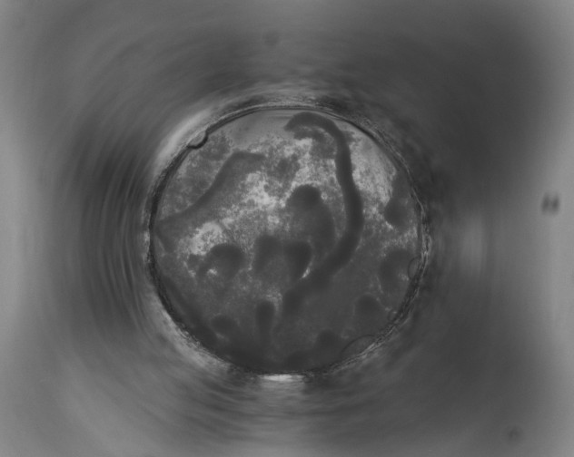 X0000114590053200911161340