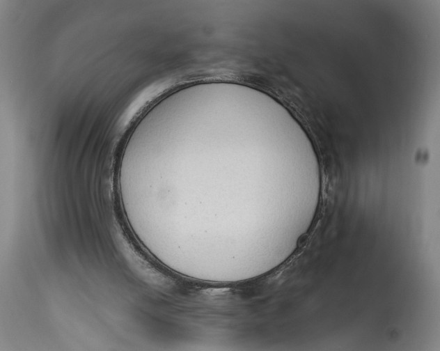 X0000114590054200911161340