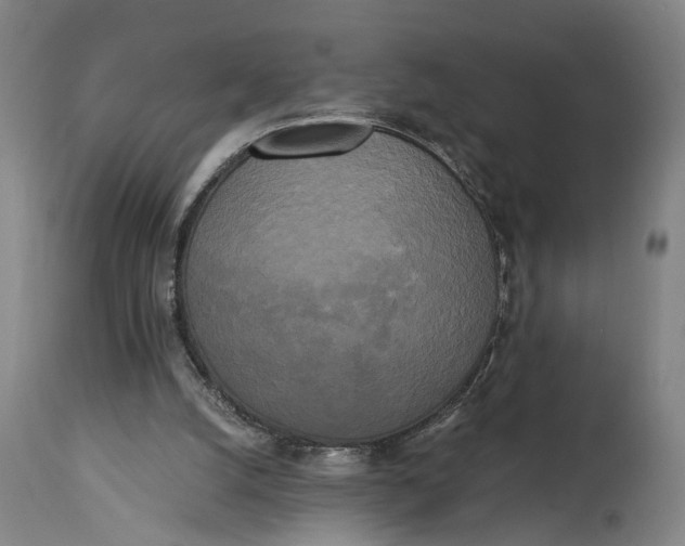 X0000114590056200911161340