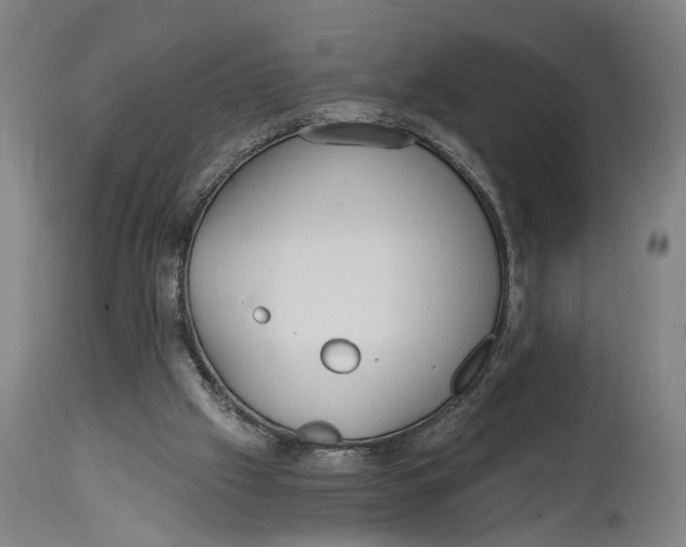 X0000114590057200911161340