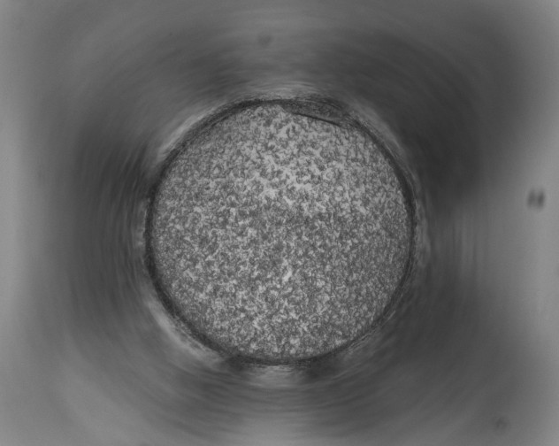 X0000114590058200911161340