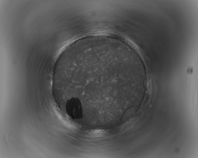 X0000114590059200911161340