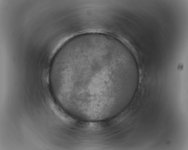 X0000114590060200911161340