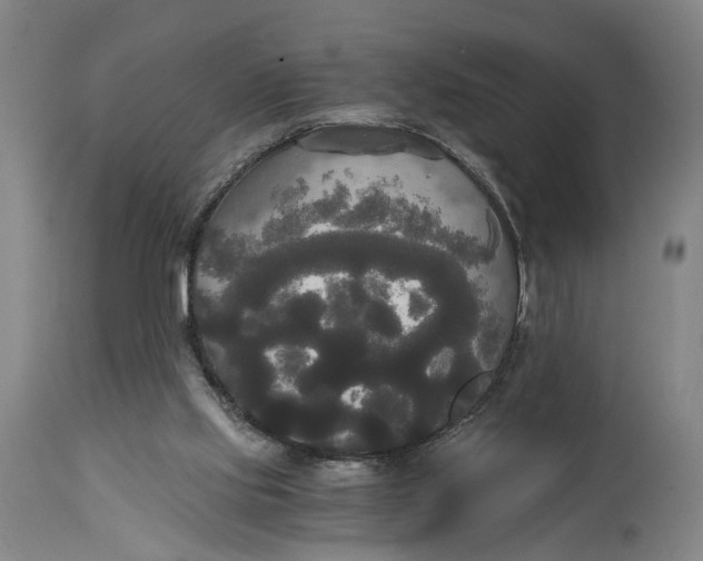 X0000114590061200911161340
