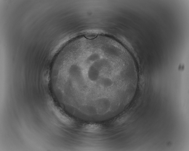 X0000114590063200911161340