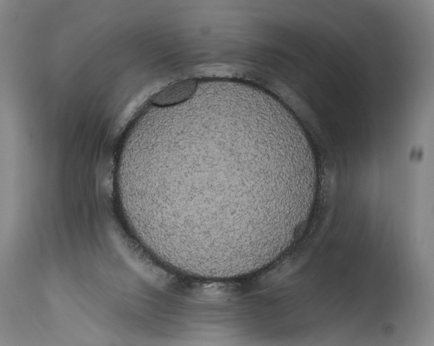 X0000114590064200911161340