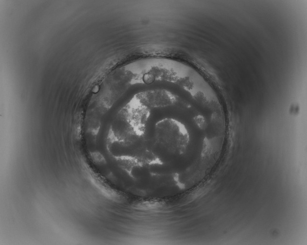 X0000114590065200911161340