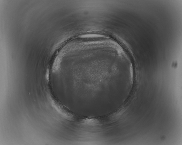 X0000114590067200911161340