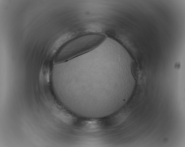 X0000114590068200911161340
