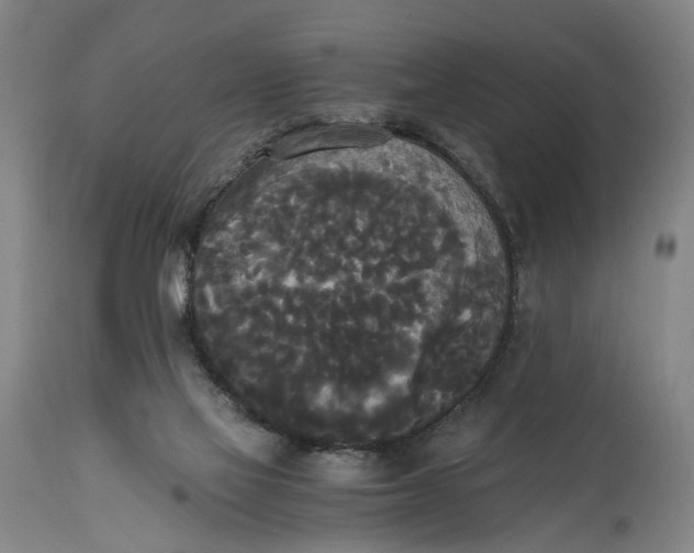X0000114590069200911161340