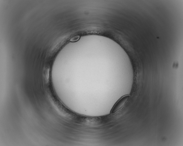 X0000114590070200911161340