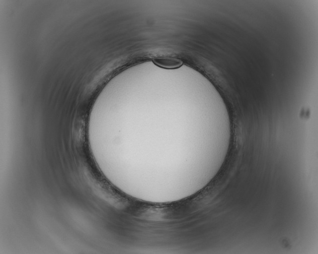 X0000114590071200911161341