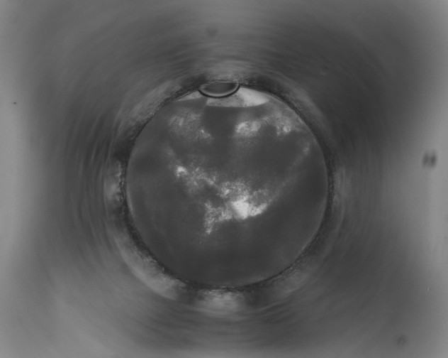 X0000114590073200911161341