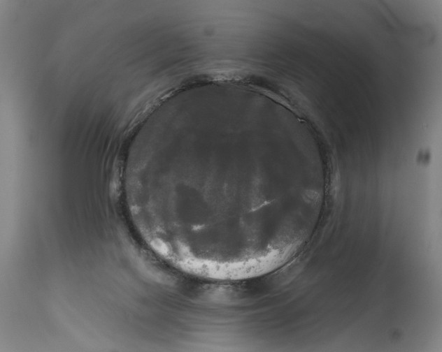 X0000114590074200911161341