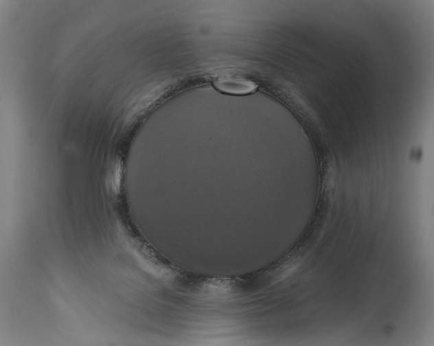 X0000114590076200911161341