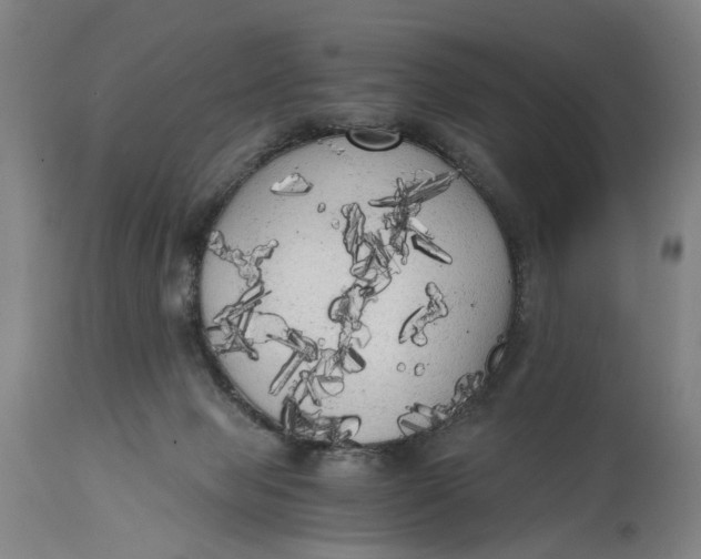 X0000114590077200911161341