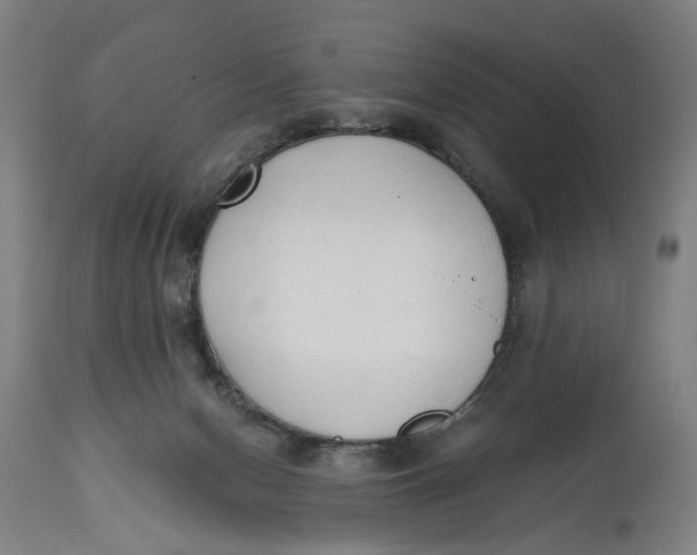 X0000114590078200911161341
