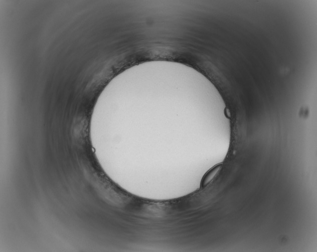 X0000114590079200911161341