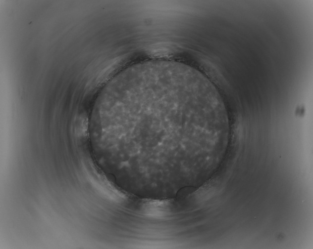 X0000114590081200911161341