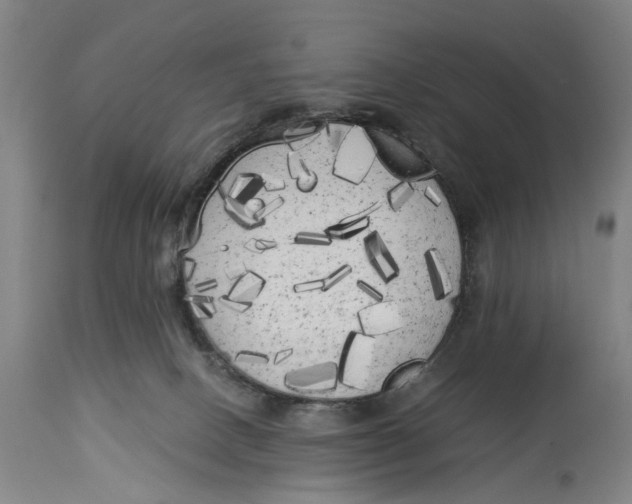 X0000114590082200911161341