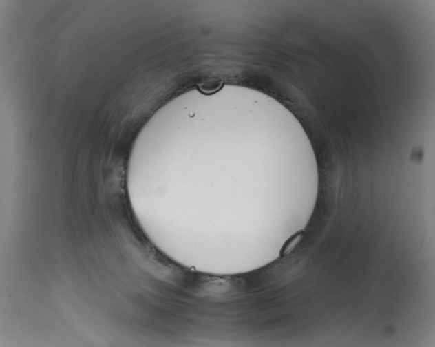 X0000114590083200911161341