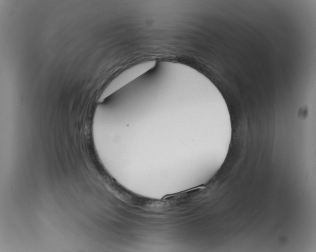 X0000114590084200911161341