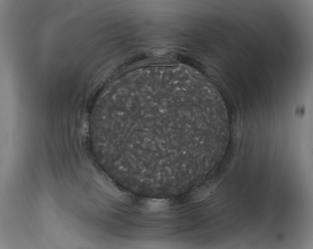 X0000114590085200911161341
