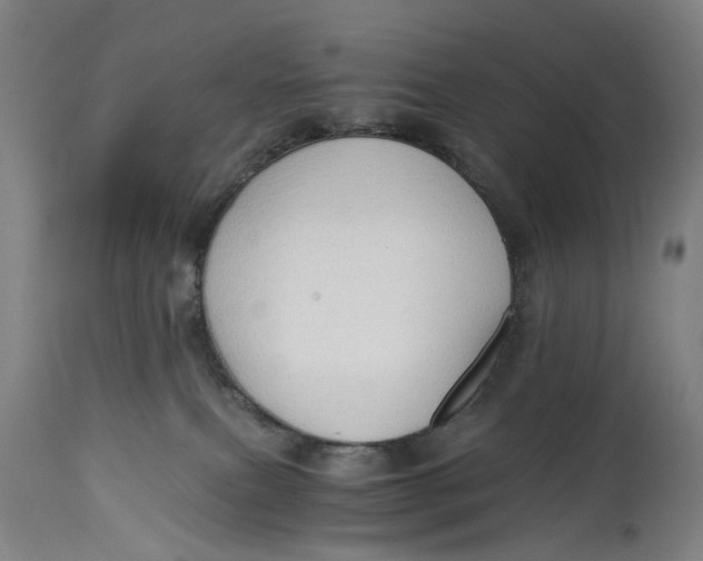 X0000114590087200911161341