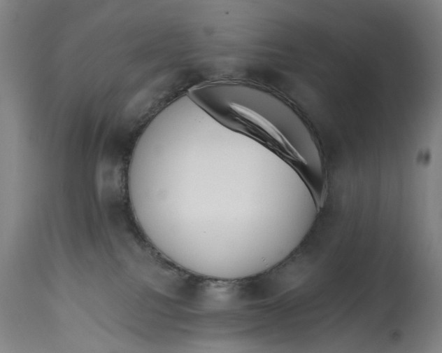 X0000114590088200911161341