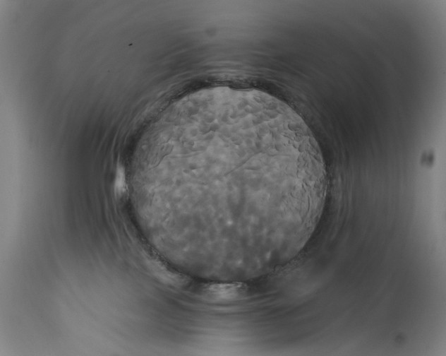 X0000114590089200911161341