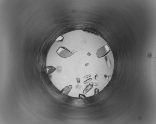 X0000114590091200911161341