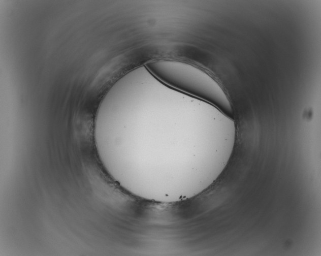 X0000114590092200911161341