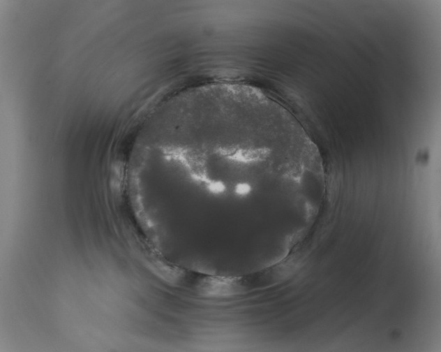 X0000114590093200911161341