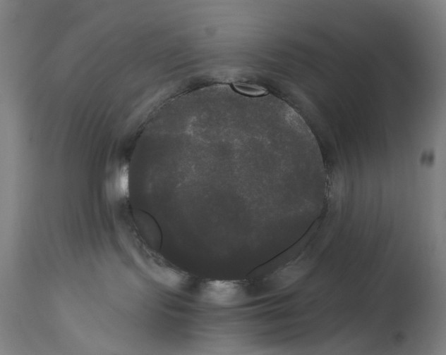 X0000114590095200911161341