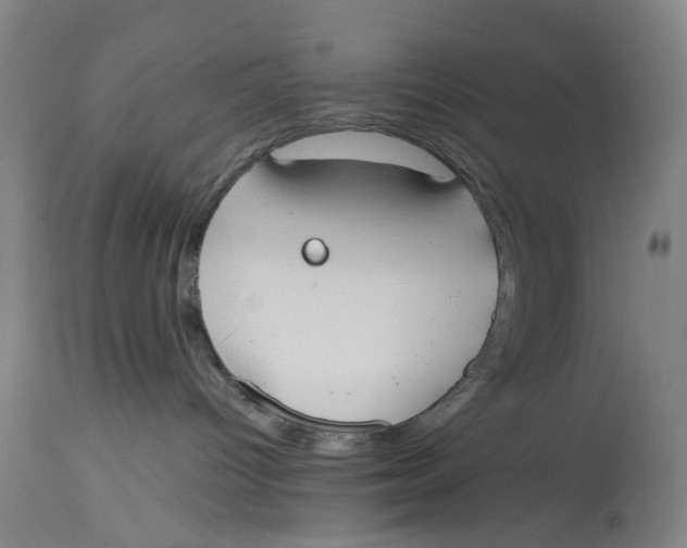 X0000114590096200911161341
