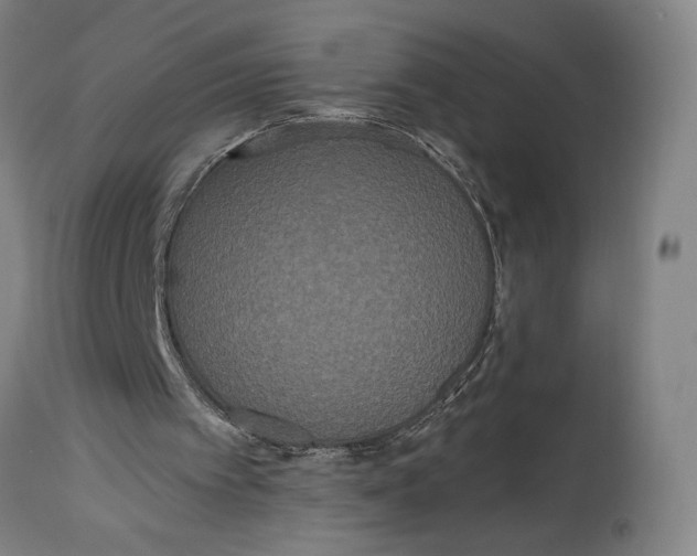 X0000114590097200911161340