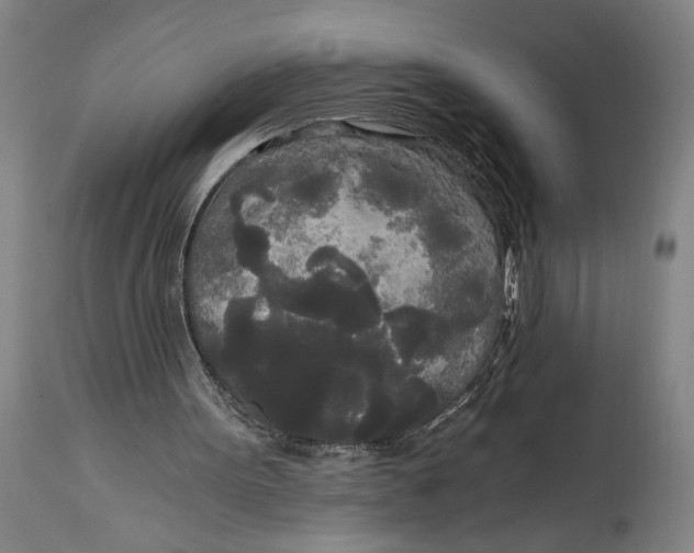 X0000114590099200911161340