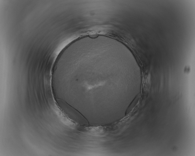 X0000114590100200911161340