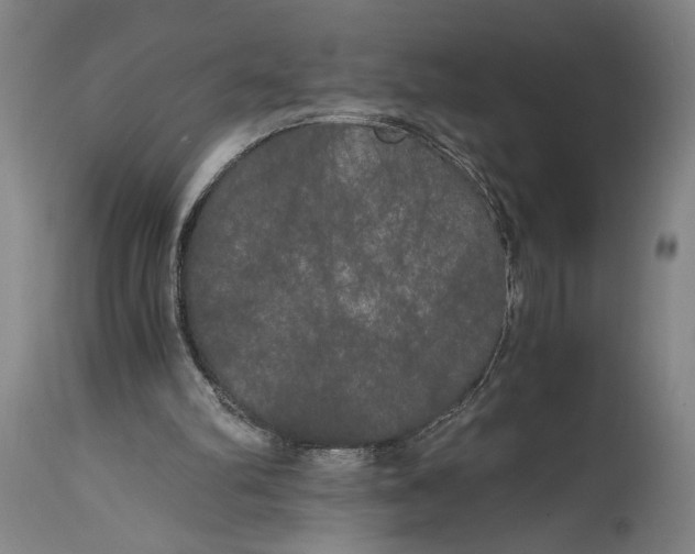 X0000114590102200911161340