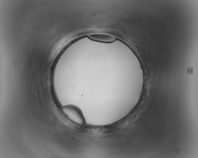 X0000114590103200911161340