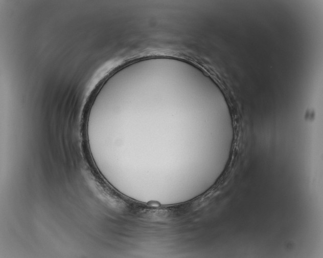 X0000114590104200911161340