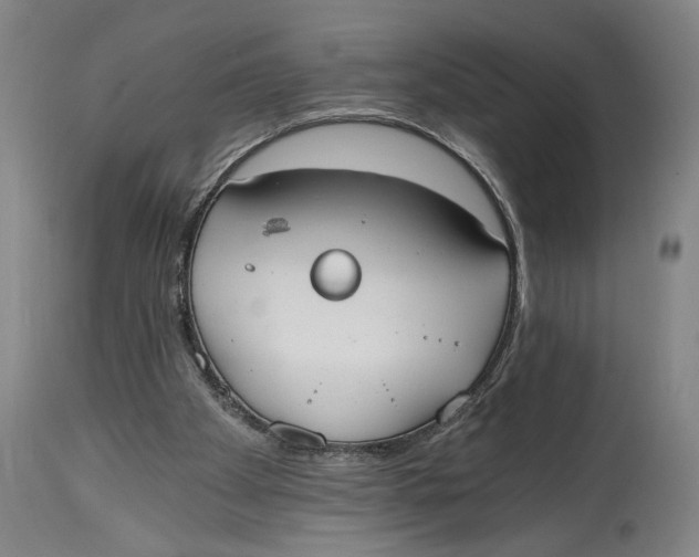 X0000114590105200911161340