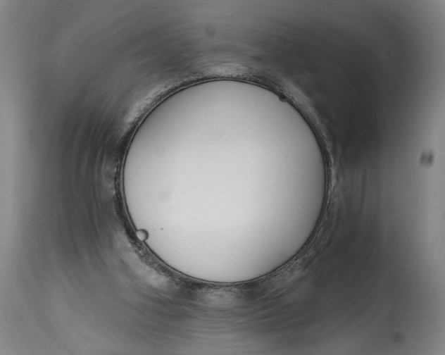 X0000114590106200911161340