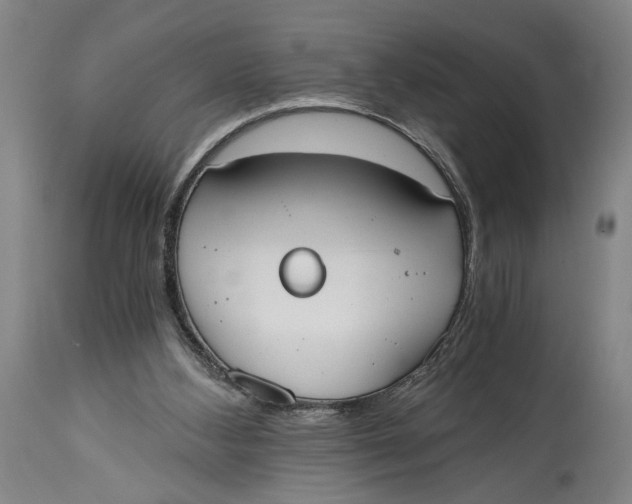 X0000114590108200911161340