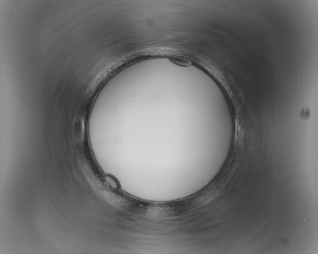 X0000114590109200911161340