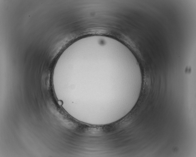 X0000114590110200911161340